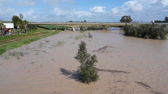 Estado del r&iacute;o Guadalete a su paso por Jerez de la Frontera (C&aacute;diz)