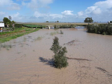 Estado del río Guadalete a su paso por Jerez de la Frontera (Cádiz)