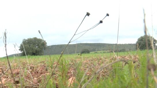 Las Tierras raras del Campo de Montiel, Ciudad Real