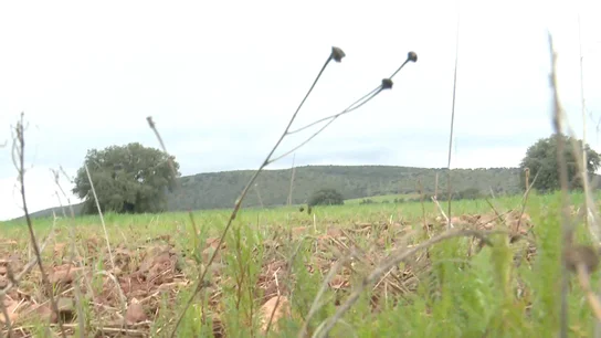 Las Tierras raras del Campo de Montiel, Ciudad Real Las Tierras raras del Campo de Montiel, Ciudad Real