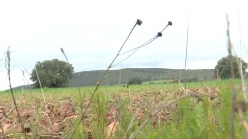 Las Tierras raras del Campo de Montiel, Ciudad Real