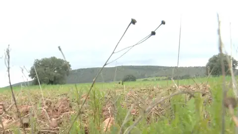 Las Tierras raras del Campo de Montiel, Ciudad Real Las Tierras raras del Campo de Montiel, Ciudad Real