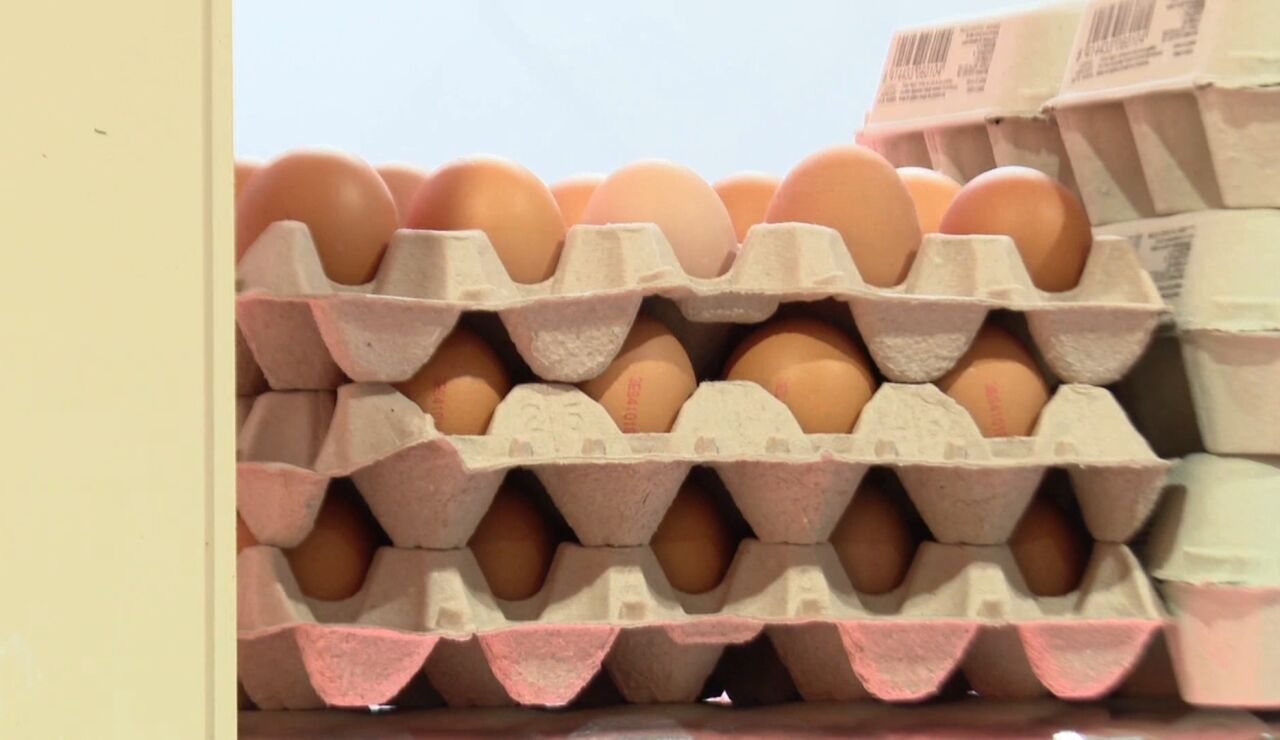 Docena de huevos