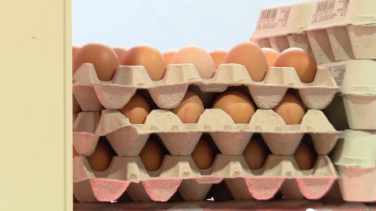 Docena de huevos