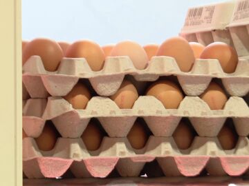 Docena de huevos Docena de huevos