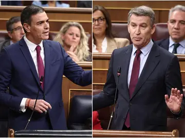 Sánchez y Feijóo, en el Congreso Sánchez y Feijóo, en el Congreso