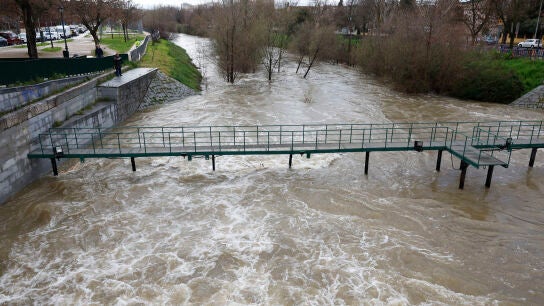 Caudal del r&iacute;o Manzanares este viernes en Madrid. 