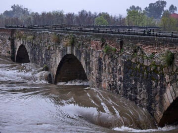 Vista del r&iacute;o Tajo a su paso por Talavera de la Reina