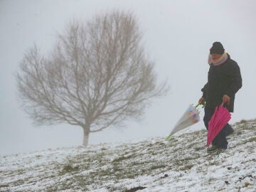 La borrasca Martinho deja intensas nevadas.