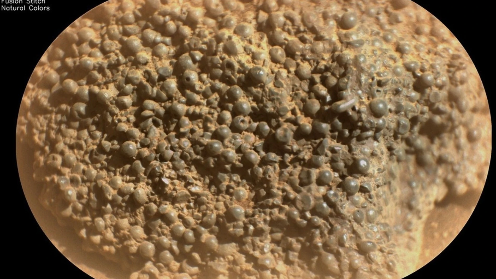 La NASA descubre en Marte una extraña roca compuesta por extraños objetos de forma esférica