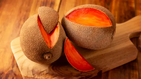 Mamey Mamey
