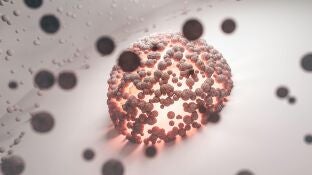 Imagen de archivo de una bacteria