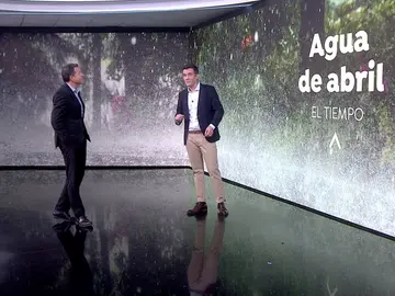 César Gonzalo César Gonzalo