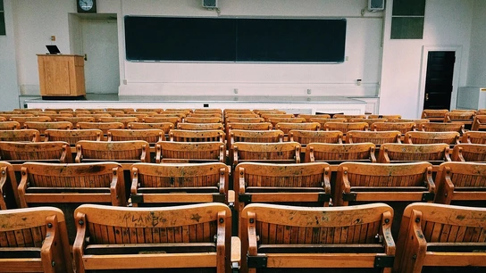 Universidad Universidad