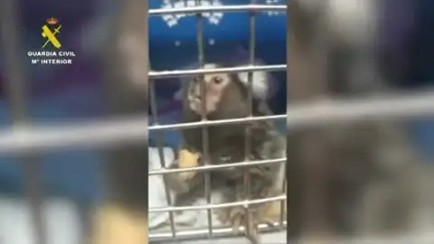 Así es la Operación Thunder Así es la Operación Thunder