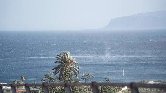 La borrasca Nuria activa mañana los avisos en 10 provincias, rojo en La Palma por rachas de viento de más de 130 km/h La borrasca Nuria activa mañana los avisos en 10 provincias, rojo en La Palma por rachas de viento de más de 130 km/h