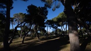 Parque de la Dehesa de la Villa, Madrid