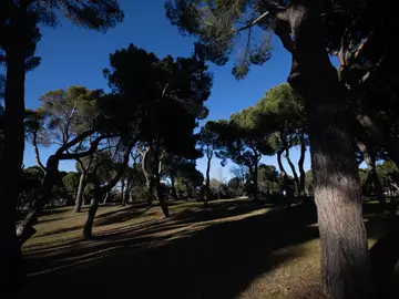 Parque de la Dehesa de la Villa, Madrid Parque de la Dehesa de la Villa, Madrid