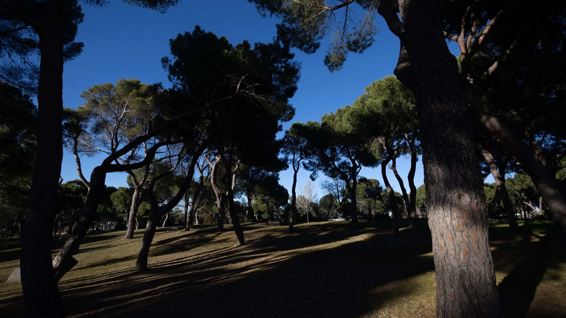 Parque de la Dehesa de la Villa, Madrid Parque de la Dehesa de la Villa, Madrid