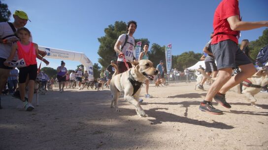 CaniCross en Las Rozas