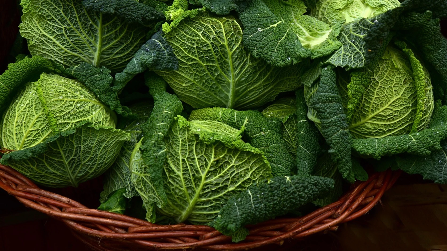 Col rizada Col rizada