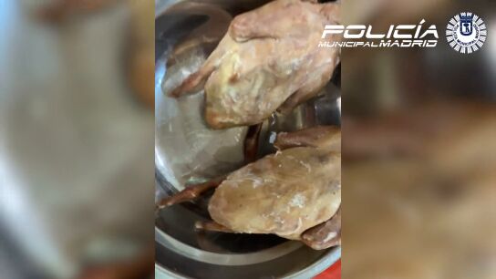 Dos palomas desplumadas