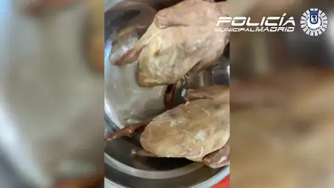 Dos palomas desplumadas Dos palomas desplumadas