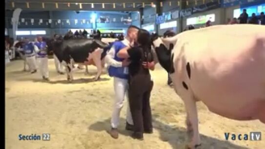 V&iacute;deo: Un joven ganadero gallego le pide matrimonio a su novia en un concurso de vacas