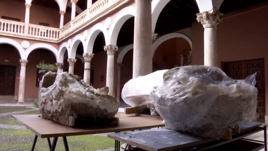 Encontrados los dos colmillos y el cr&aacute;neo de un mastodonte a escasos tres kil&oacute;metros del centro de Valladolid