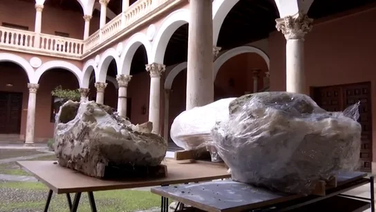 Encontrados los dos colmillos y el cráneo de un mastodonte a escasos tres kilómetros del centro de Valladolid Encontrados los dos colmillos y el cráneo de un mastodonte a escasos tres kilómetros del centro de Valladolid