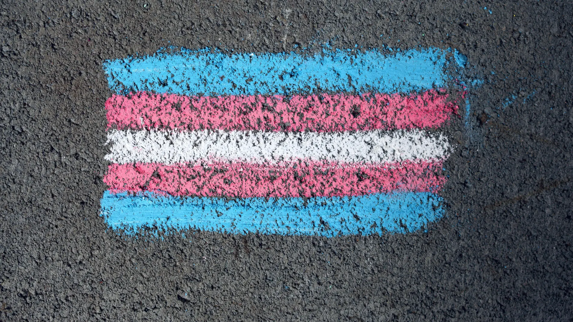 Bandera del orgullo transgénero Bandera del orgullo transgénero