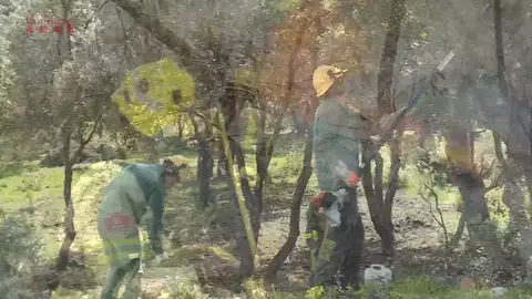 Luchando contra el fuego en bosques mojados por la lluvia Luchando contra el fuego en bosques mojados por la lluvia