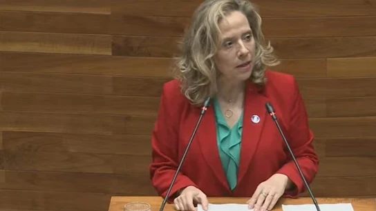 Belarmina Díaz, consejera de Transición Ecológica, Industria y Comercio del Gobierno asturiano Belarmina Díaz, consejera de Transición Ecológica, Industria y Comercio del Gobierno asturiano
