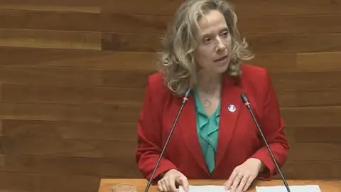 Belarmina Díaz, consejera de Transición Ecológica, Industria y Comercio del Gobierno asturiano Belarmina Díaz, consejera de Transición Ecológica, Industria y Comercio del Gobierno asturiano