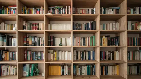 Libros en una estantería Libros en una estantería