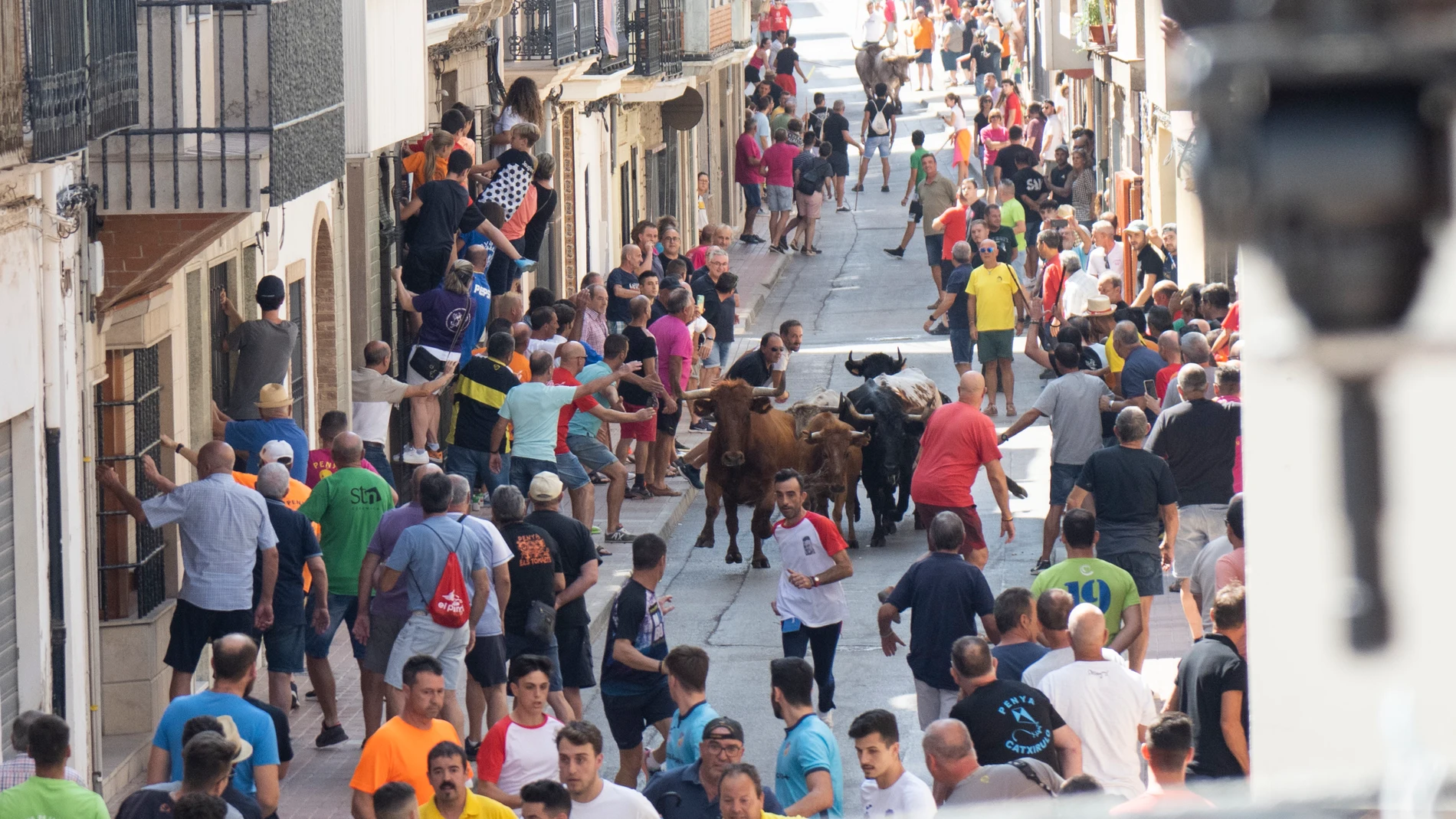 Imagen de archivo del festejo de 'bous al carrer'. Imagen de archivo del festejo de 'bous al carrer'.