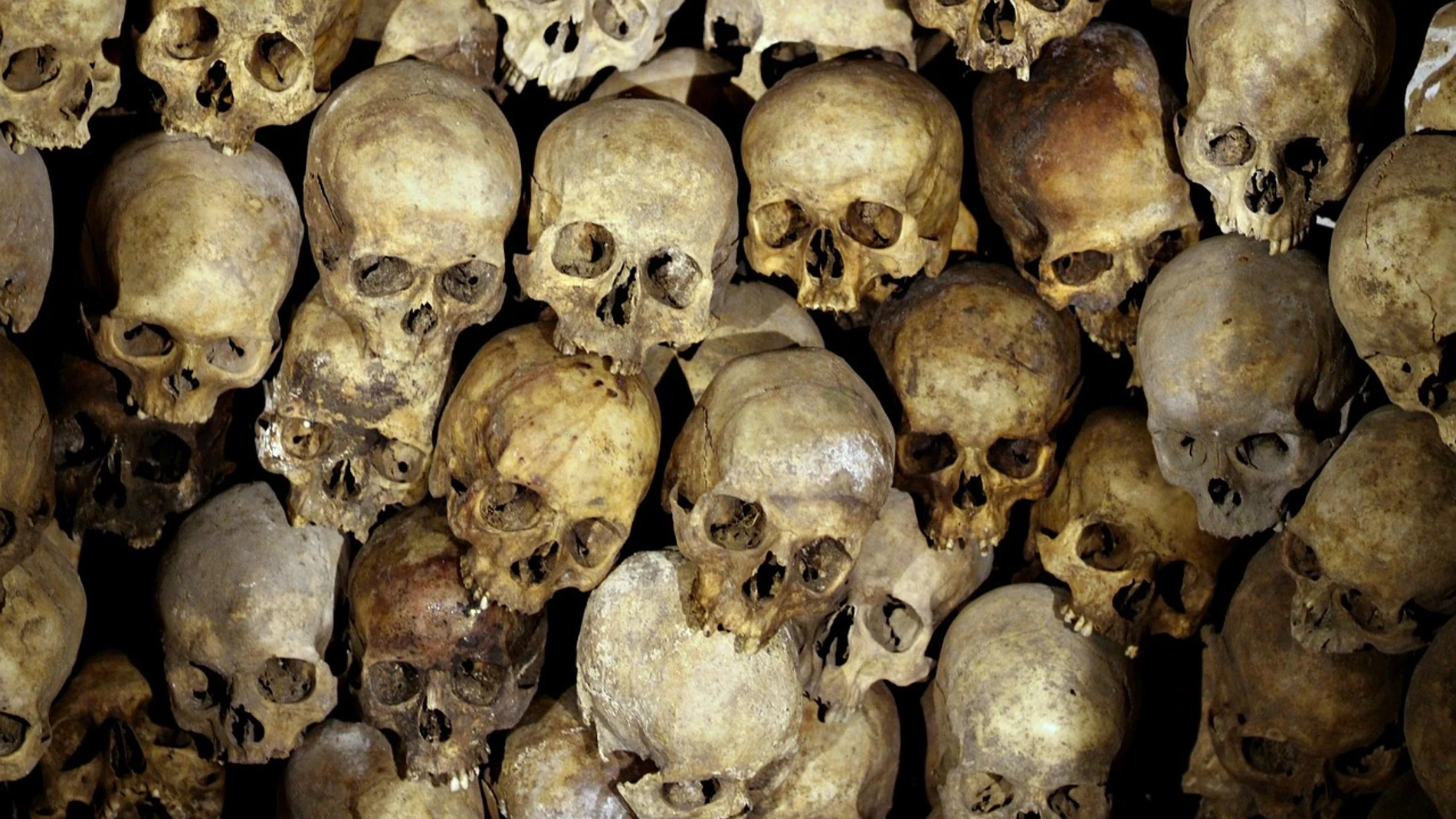 huesos humanos huesos humanos