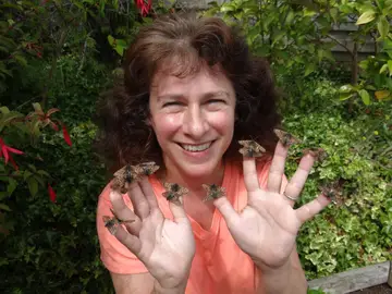 Camille Parmesan: Premio BBVA Fronteras del Conocimiento por su trabajo sobre el impacto del cambio climático en la biodiversidad Camille Parmesan: Premio BBVA Fronteras del Conocimiento por su trabajo sobre el impacto del cambio climático en la biodiversidad