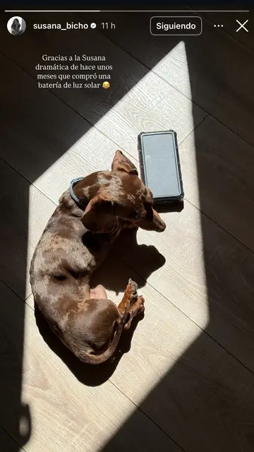 Historia de @susana_bicho Historia de @susana_bicho