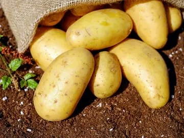 Patatas Patatas