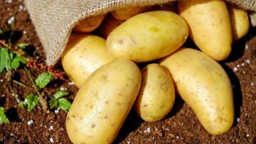 Patatas