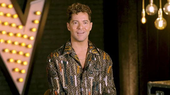 David Bisbal David Bisbal