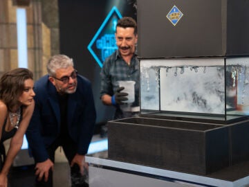 &iexcl;Espermatozoides l&iacute;quidos! El curioso invento que ha dejado perplejos a los concursantes de Tu cara me suena