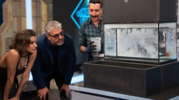 ¡Espermatozoides líquidos! El curioso invento que ha dejado perplejos a los concursantes de Tu cara me suena