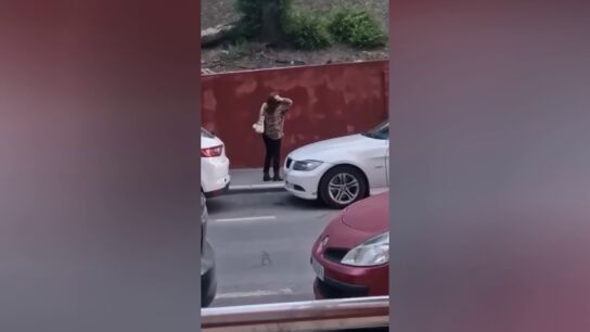 Los p&aacute;jaros de Hitchcock, en las calles de Linares porque sus vecinos denuncian que les atacan