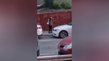 Los pájaros de Hitchcock, en las calles de Linares porque sus vecinos denuncian que les atacan