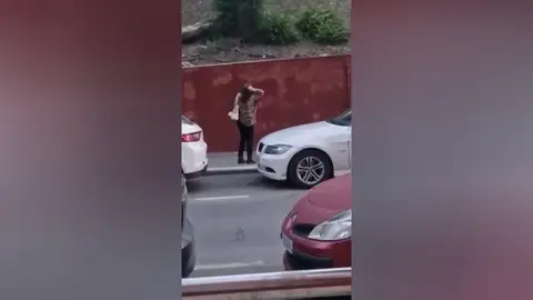 Los pájaros de Hitchcock, en las calles de Linares porque sus vecinos denuncian que les atacan Los pájaros de Hitchcock, en las calles de Linares porque sus vecinos denuncian que les atacan