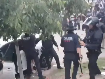 Atropello Atropello