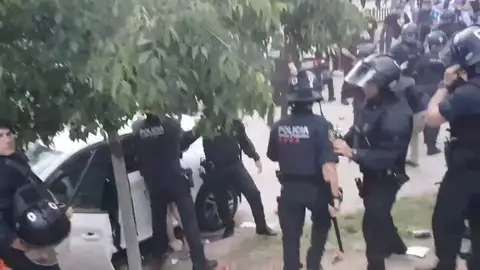 Atropello Atropello