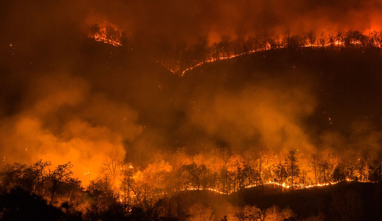 Incendio forestal